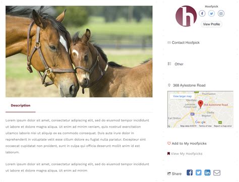 equestrian classifieds